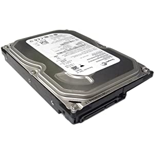 Hard Disk Seagate ST3250310AS SATA 250GB 3.5-INCH HDD Used A