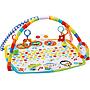 FisherPrice Baby Bandstand Play Gym